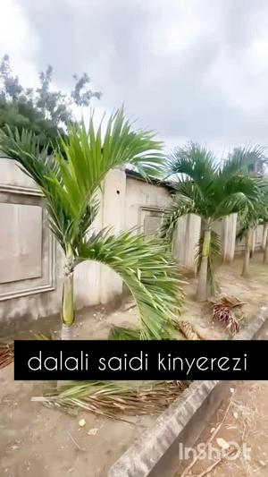 1 Bedroom House/Apartment for Rent in Tabata Segerea Magereza, Dar Es Salaam