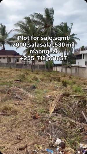 Kiwanja kinauzwa Salasala, Dar Es Salaam sqm 2000 Kiwanja kinauzwa Salasala, Dar Es Salaam sqm 2000