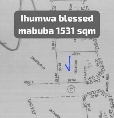 Kiwanja kinauzwa Ihumwa Blessed Mabuba, Dodoma (1531 sqm) Kiwanja kinauzwa Ihumwa Blessed Mabuba, Dodoma (1531 sqm)