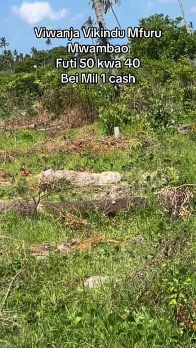 Residential Plots for Sale in Vikindu Vianzi Mfurumwambao, Pwani (186 sqm) Residential Plots for Sale in Vikindu Vianzi Mfurumwambao, Pwani (186 sqm)
