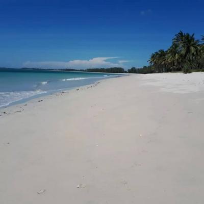 Beach Plot for Sale in Kigamboni, Gezaulole, Dar Es Salaam (48562 sqm) Beach Plot for Sale in Kigamboni, Gezaulole, Dar Es Salaam (48562 sqm)