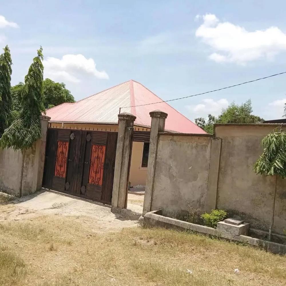 media -8 media -8
