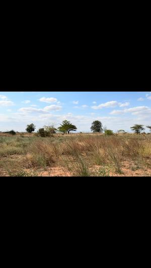 Kiwanja kinauzwa Kitelela, Dodoma (1280 sqm)