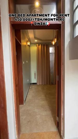 Nyumba/Apartment ya chumba kimoja inapangishwa Sinza Madukani, Dar Es Salaam
