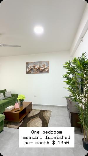 Apartment (Furnished) ya chumba kimoja inapangishwa Msasani, Dar Es Salaam