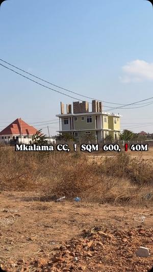 Kiwanja kinauzwa Mjini Makulu Mkalama Ushuani, Dodoma (600 sqm)