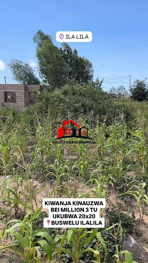 Plot for sale in Mwanza