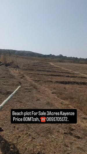 Beach Plot kinauzwa Kayenze, Mwanza (3 acre) Beach Plot kinauzwa Kayenze, Mwanza (3 acre)