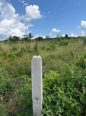 Beach Plot kinauzwa Pongwe Ya Uroa, Tanga (5000 sqm)