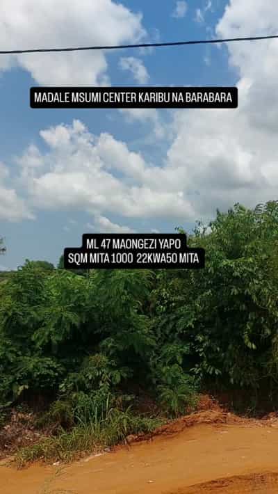 Kiwanja kinauzwa Madale Msumi, Dar Es Salaam (700 sqm)