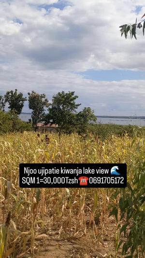 Kiwanja kinauzwa Mwanza