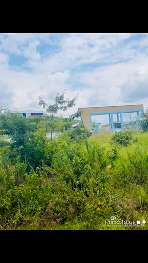 Kiwanja (Commercial Plot) kinauzwa Kigoma (1 acre) Kiwanja (Commercial Plot) kinauzwa Kigoma (1 acre)