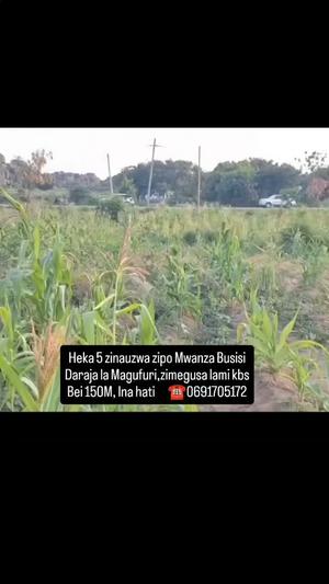 Kiwanja kinauzwa Busisi Road, Mwanza acre 5 Kiwanja kinauzwa Busisi Road, Mwanza acre 5