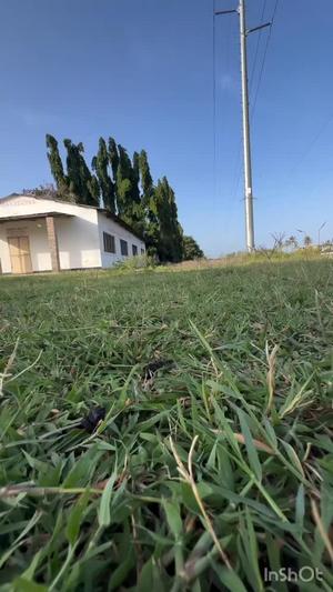 Shule inauzwa Ununio, Dar Es Salaam