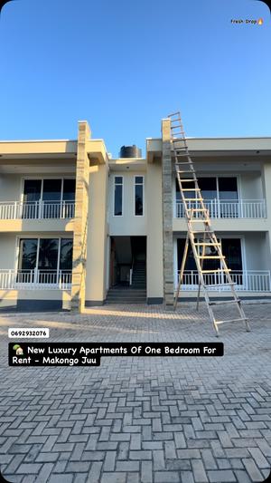 1 Bedroom Apartment for Rent in Makongo Juu, Dar Es Salaam