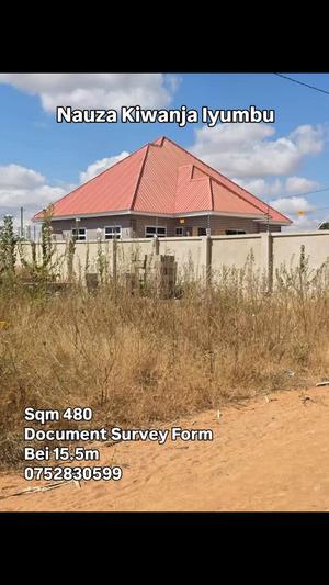 Residential Plot for Sale in Iyumbu Udom, Dodoma (480 sqm) Residential Plot for Sale in Iyumbu Udom, Dodoma (480 sqm)