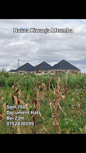 Plot for sale in Mtumba Mji Wa Kiserikali, Dodoma sqm 760