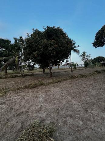 Plot for sale in Makongo Juu, Dar Es Salaam sqm 913 Plot for sale in Makongo Juu, Dar Es Salaam sqm 913