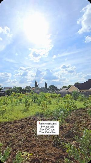 Residential Plot for Sale in Mbweni Malindi, Dar Es Salaam (1280 sqm)
