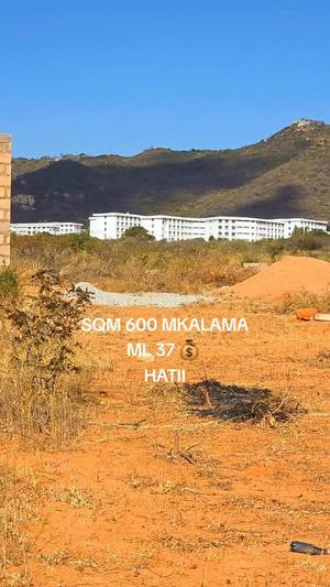 Plot for sale in Makulu Mkalama, Dodoma sqm 600 Plot for sale in Makulu Mkalama, Dodoma sqm 600