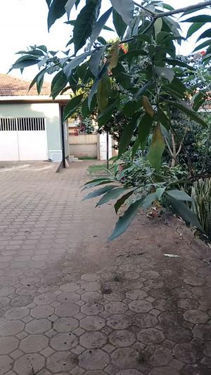 4 Bedrooms House for Rent in Njiro, Arusha 4 Bedrooms House for Rent in Njiro, Arusha