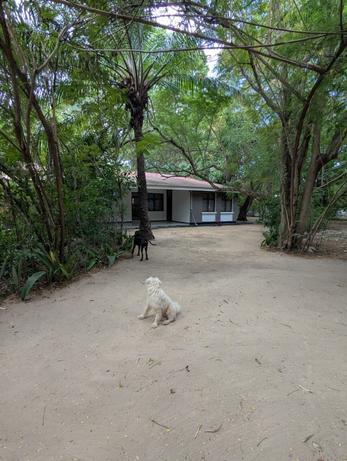 2 Bedrooms Furnished Villa for Rent in Mikocheni, Dar Es Salaam