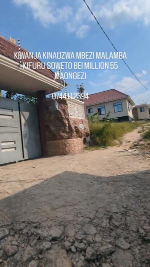 Kiwanja kinauzwa Mbezi Malamba Kifuru Soweto, Dar Es Salaam