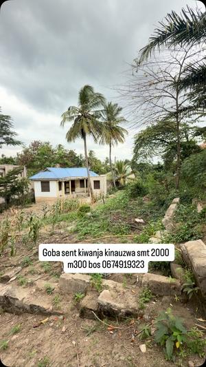 Plot for sale in Goba, Dar Es Salaam sqm 2000 Plot for sale in Goba, Dar Es Salaam sqm 2000
