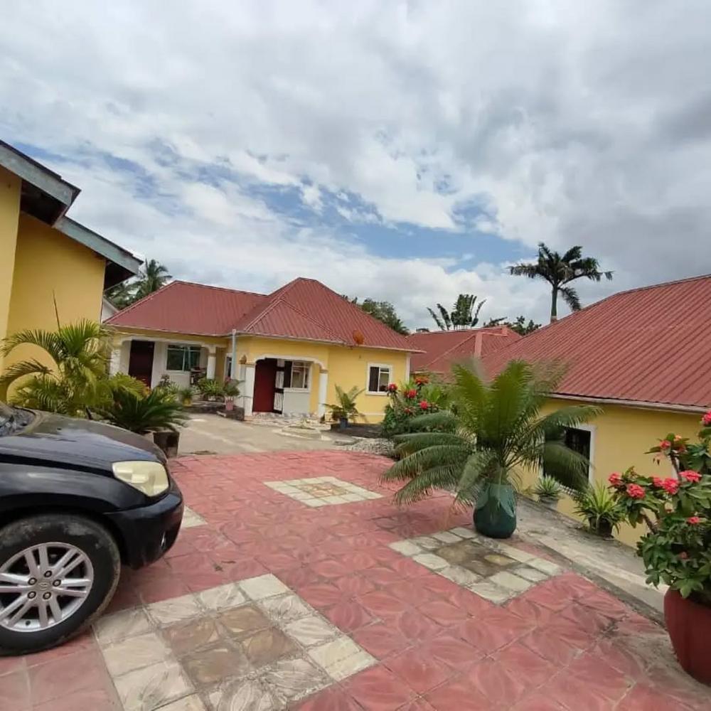  media -1