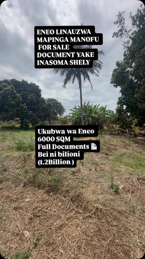 Plot for sale in Kerege Manofu, Pwani sqm 6000 Plot for sale in Kerege Manofu, Pwani sqm 6000