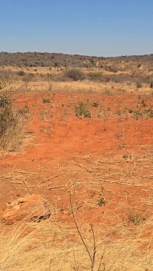 Shamba linauzwa Matumbulu, Dodoma acre 5 Shamba linauzwa Matumbulu, Dodoma acre 5