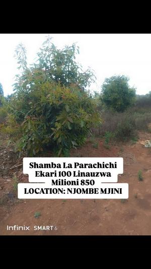 Farm for Sale in Njombe Mjini (100 acre) Farm for Sale in Njombe Mjini (100 acre)