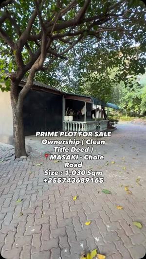 Kiwanja kinauzwa Masaki, Dar Es Salaam (1030 sqm)