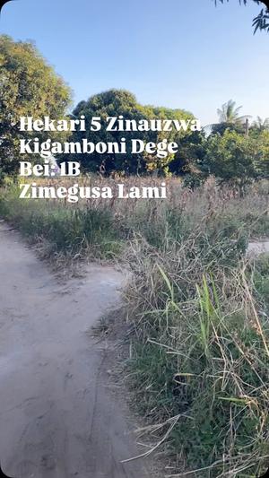 Kiwanja kinauzwa Kigamboni Dege, Dar Es Salaam (5 acre)