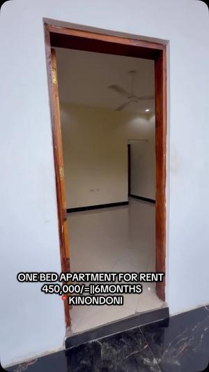 Apartment ya chumba kimoja inapangishwa Kinondoni, Dar Es Salaam