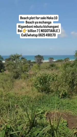 Beach Plot kinauzwa Mbutu Kichangani, Morogoro (10 acre) Beach Plot kinauzwa Mbutu Kichangani, Morogoro (10 acre)