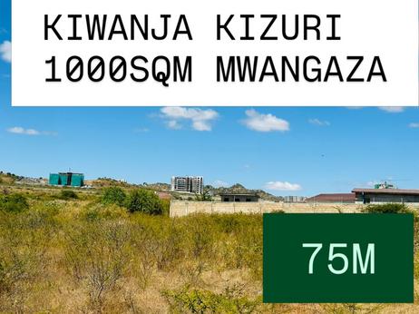 Kiwanja kinauzwa Kisasa Mwangaza, Dodoma sqm 1000