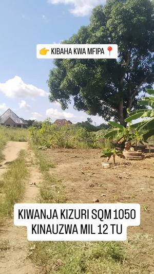 Kiwanja kinauzwa Kibaha Kwa Mfipa, Pwani sqm 1050
