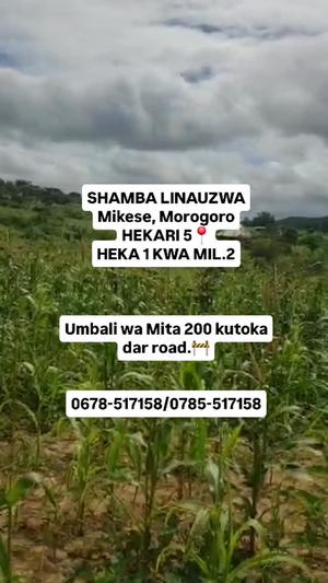 Shamba linauzwa Mikese Lubungo Shule, Morogoro (5 acre)