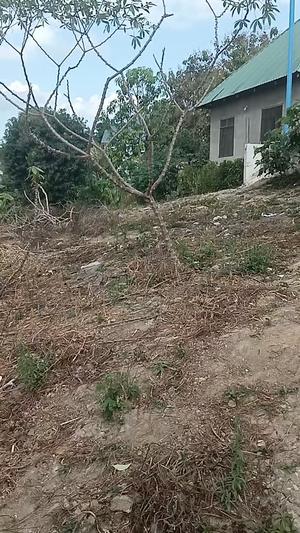 Residential Plot for Sale in Tabata Kinyerezi G7, Dar Es Salaam (500 sqm) Residential Plot for Sale in Tabata Kinyerezi G7, Dar Es Salaam (500 sqm)