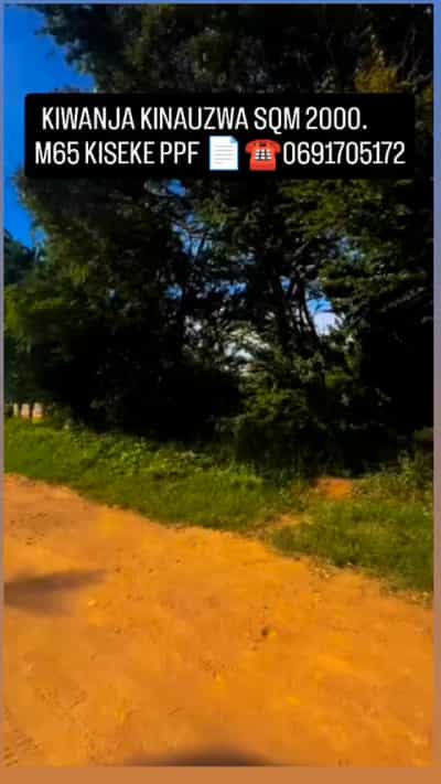 Kiwanja kinauzwa Kiseke PPF, Mwanza (2000 sqm)