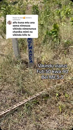 Plots for sale in Vikindu Vianzi, Pwani sqm 2000 Plots for sale in Vikindu Vianzi, Pwani sqm 2000