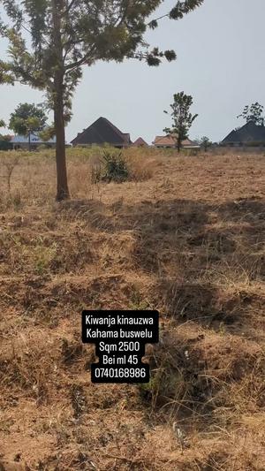 Residential Plot for Sale in Buswelu, Mwanza (2500 sqm) Residential Plot for Sale in Buswelu, Mwanza (2500 sqm)