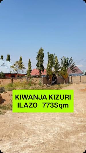 Kiwanja kinauzwa Ilazo, Dodoma sqm 773 Kiwanja kinauzwa Ilazo, Dodoma sqm 773