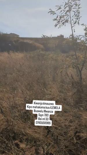 Residential Plot for Sale in Ilemela, Mwanza (780 sqm) Residential Plot for Sale in Ilemela, Mwanza (780 sqm)