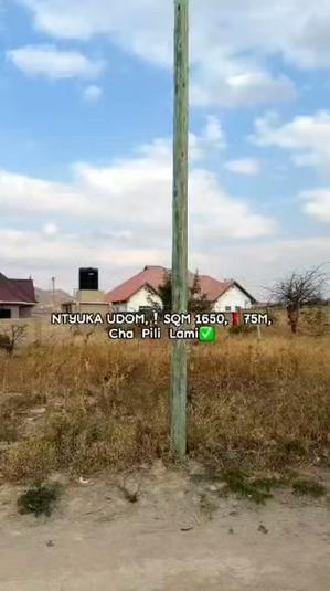 Residential Plot for Sale in Ntyuka UDOM, Dodoma (1650 sqm) Residential Plot for Sale in Ntyuka UDOM, Dodoma (1650 sqm)