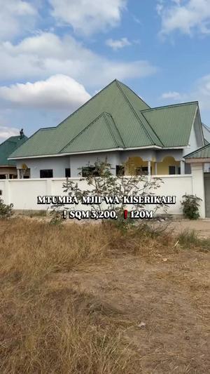 Residential Plot for Sale in Mtumba Mjii Wa Kiserikali, Dodoma (3200 sqm)