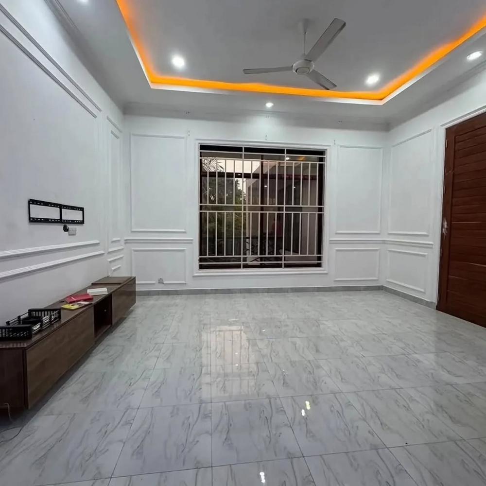 media -5