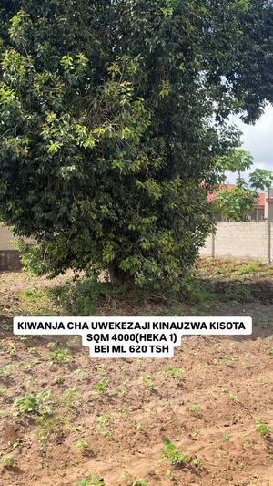 Plot for sale in Kisota, Dar Es Salaam sqm 4000 Plot for sale in Kisota, Dar Es Salaam sqm 4000