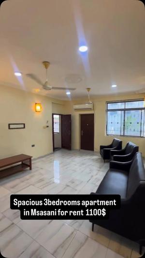 Apartment ya vyumba vitatu inapangishwa Msasani Beach, Dar Es Salaam